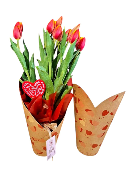 Double color tulips bulbs