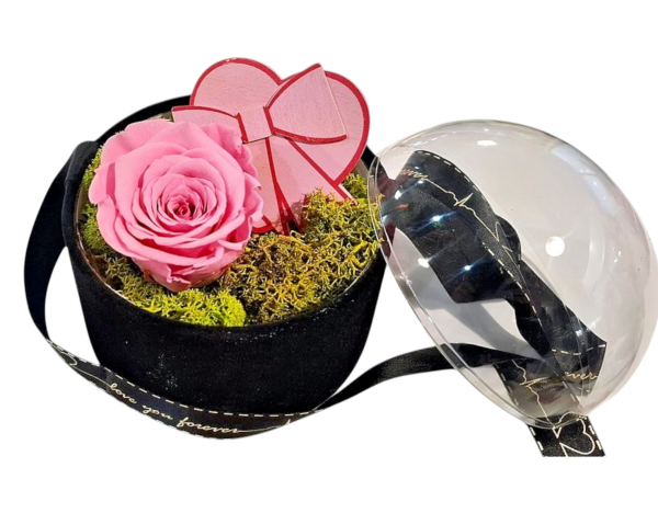 Forever pink rose vlevet