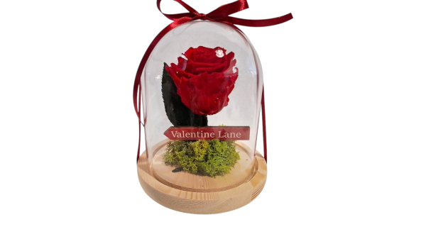 Valentine line forever ro