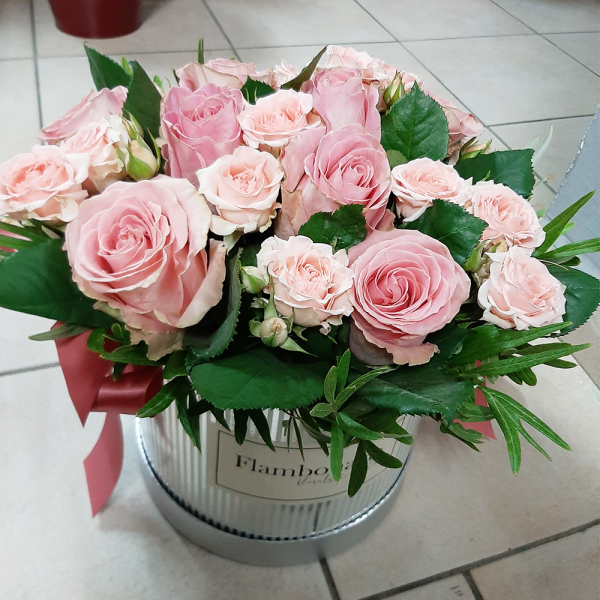 Vision-in-pink