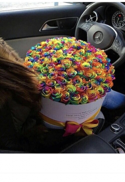 Explocion-roses