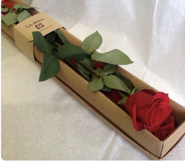 A-special-rose