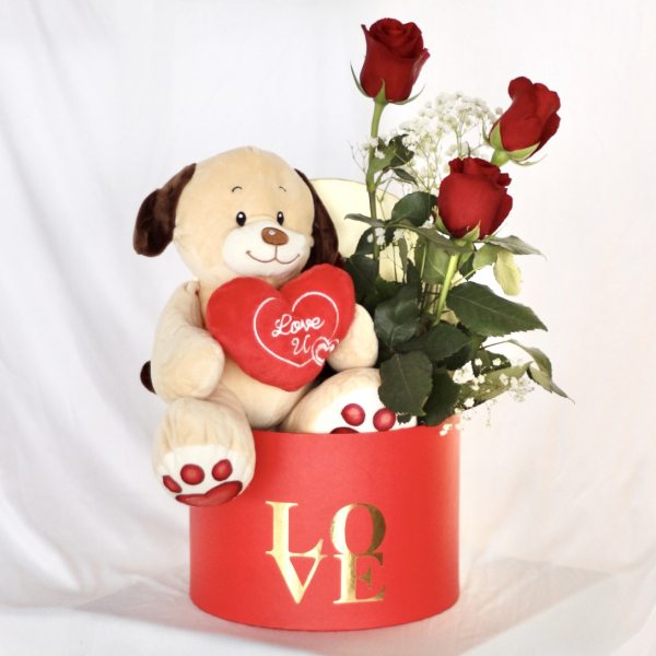 Box-love-with-teddy