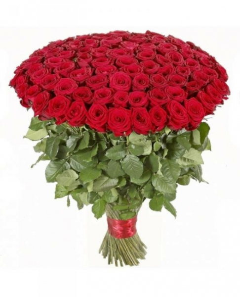 Hundreds-roses