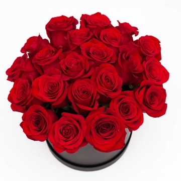 velvet-rose-hatbox