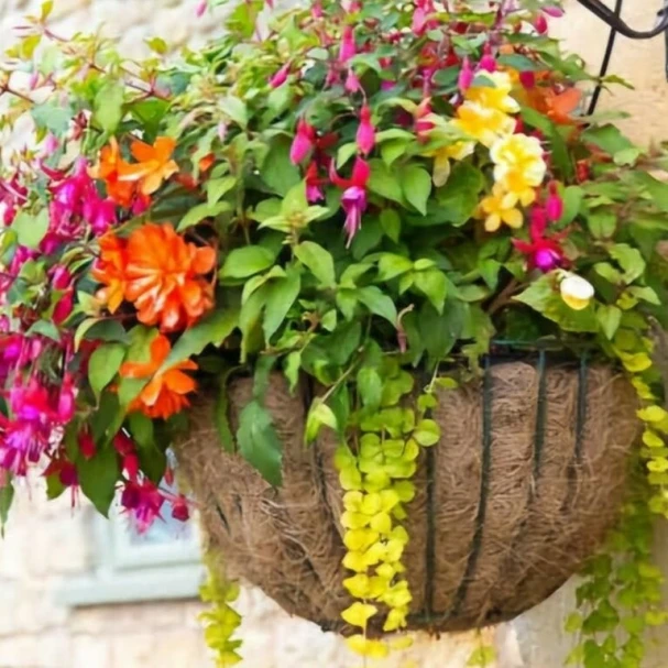hanging-basket