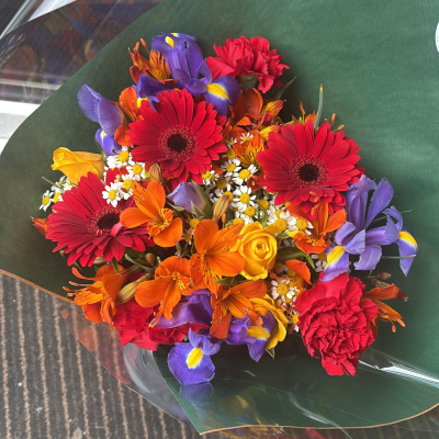 Fiesta bloom burst