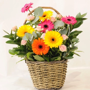 candy-pop-basket