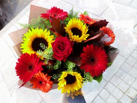 sunflower-gerbera