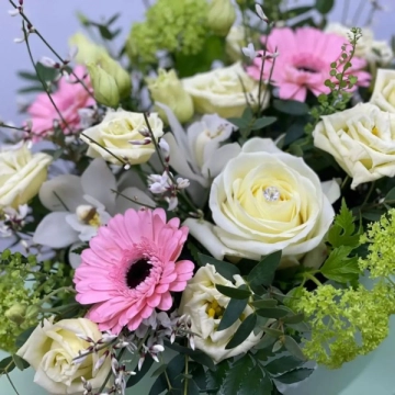 pastel-hand-tied