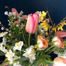 seasonal-blooms