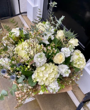 simply-hydrangeas