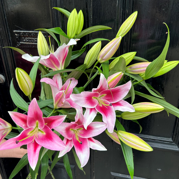 Simply lilies bouquet