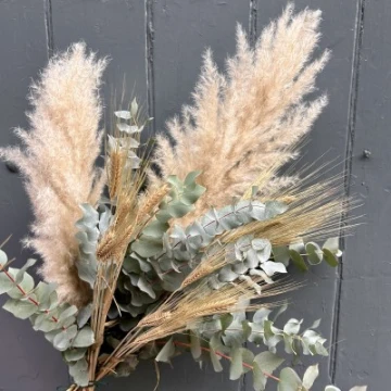 eucalyptus-pampas-barle