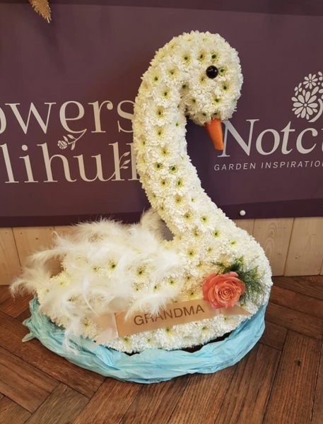 swan