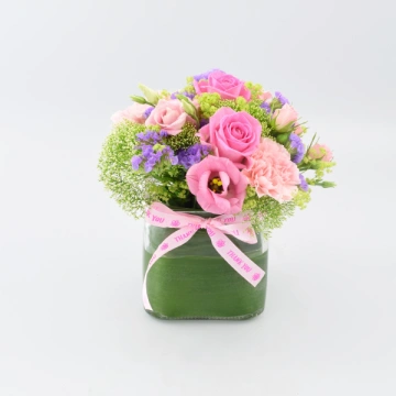 tallulah-thank-you