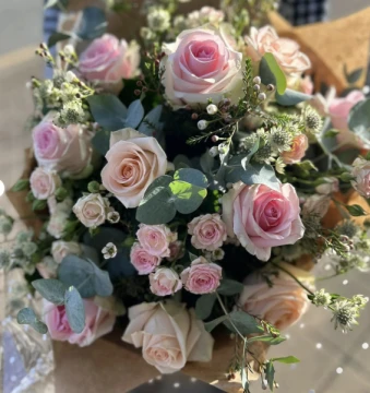 blush-rose