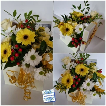 gift-boxes