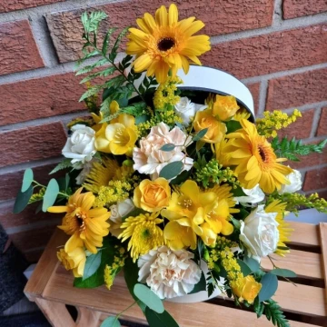 hat-box