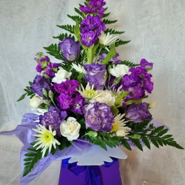 mixed-box