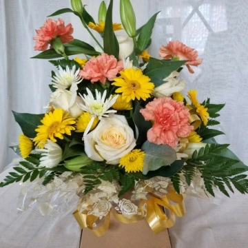 fizz-box