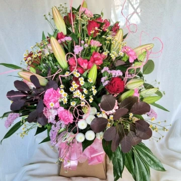 luxurious-fizz-box