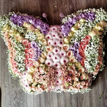 butterfly-tribute