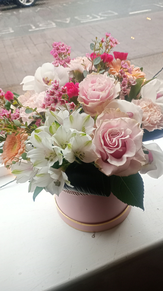 Blush elegance