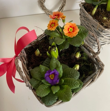 spring-planted-basket
