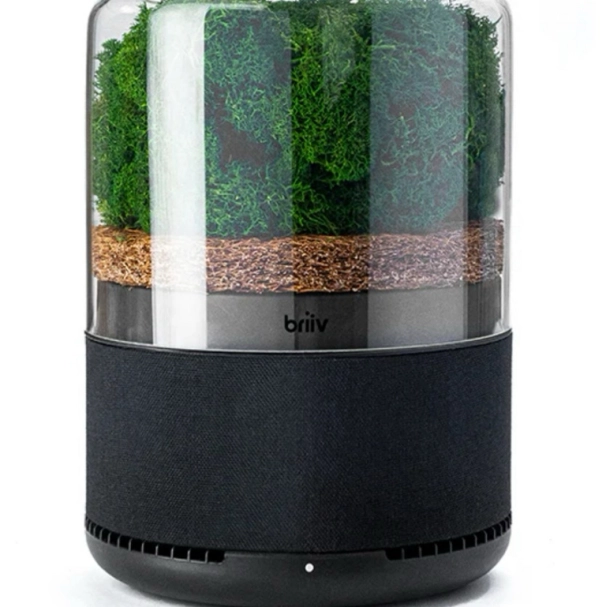 Briiv air filter