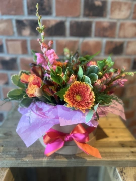 tutti-fruity-hat-box