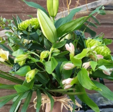 seasonal-breeze-eco-vase