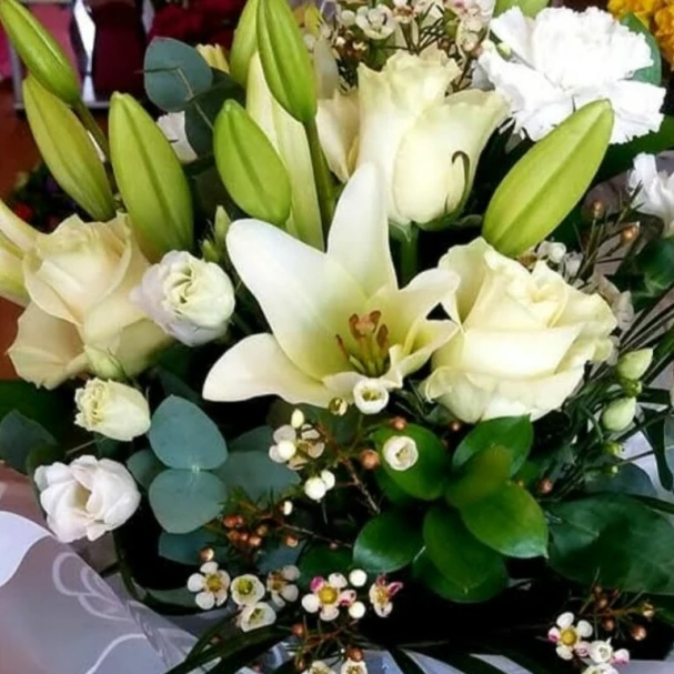 lilly-and-rose