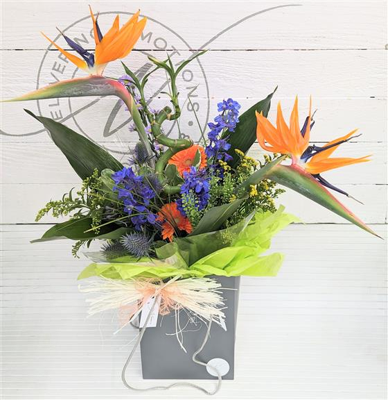 Bird of paradise bouquet