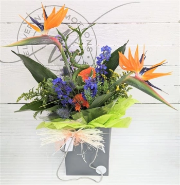 bird-of-paradise-bouquet