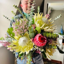 king-protea
