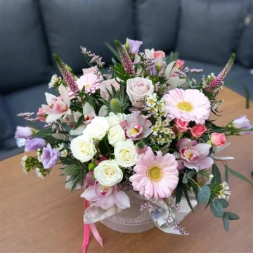 hat-box-arrangement