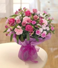 all-pinks