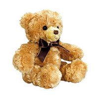 teddy-bear