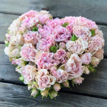 heart