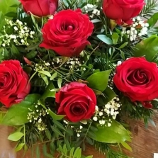 valentines-roses