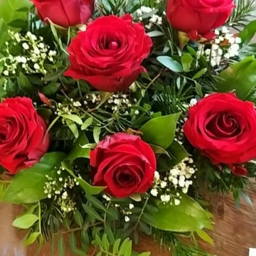 valentines-roses