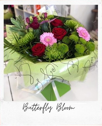 butterfly-bloom