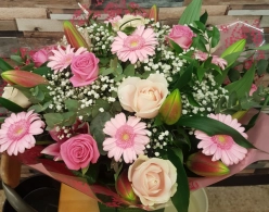 lilly-rose-handtied