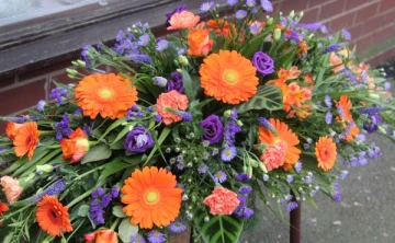 orange-and-purple-spray