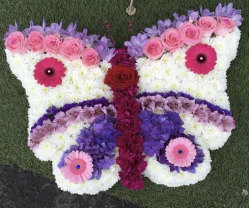 butterfly
