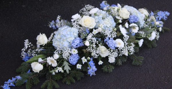 forget-me-not