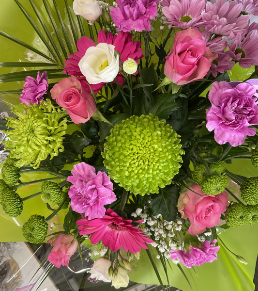 cerise-and-lime
