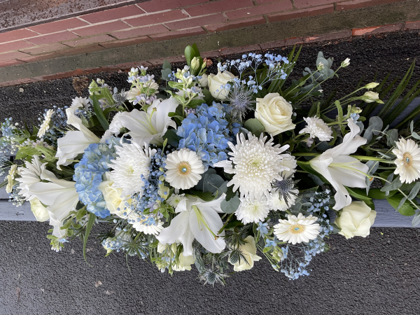 Blue and white coffin top