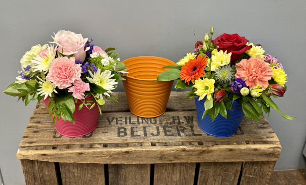 Harlequin arrangment